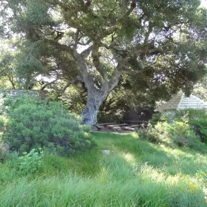 lower Meadow, amphitheater seating behind Entrance Kiosk