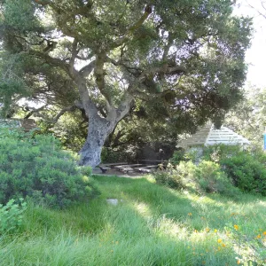 lower Meadow, amphitheater seating behind Entrance Kiosk