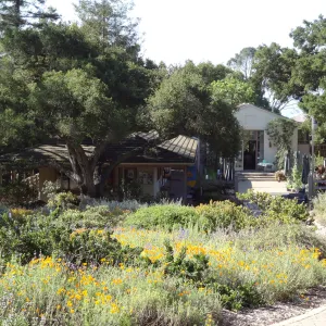 lower Meadow, view to Gift Shop and Blakelsy Library