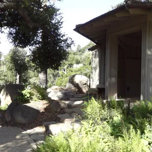 Information Kiosk, Quercus agrifolia (Coastal Live Oak), wood bench, panorama