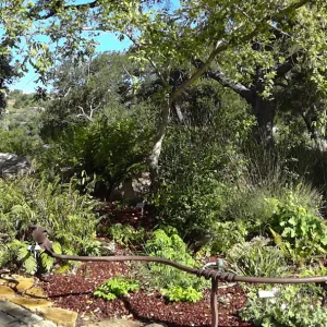 Information Kiosk, Meadow Pond, panorama