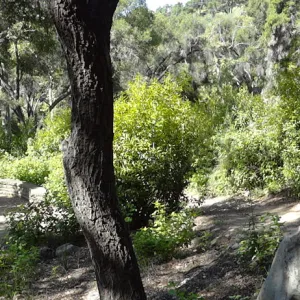 Canyon Trail, panorama
