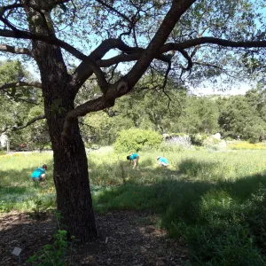 Citrix volunteers, Dirty Hands Brigade, Meadow