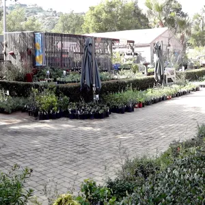Garden Growers Nursery, Courtyard, panorama, SBBG Spring Plant Sale 2012