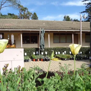 SBBG Spring Plant Sale 2012