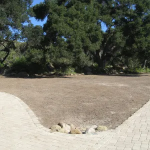 Meadow terrace after deconstruction