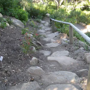 Steps down Campbell Trail