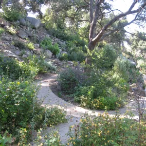 Beds in the vicinity of the picnic area on the Campbell Trail