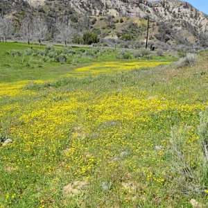 Vicinity of Ozena Ranger Station, Hwy 33
