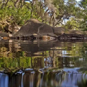 Mission Creek, National Public Gardens Day, tour at SBBG