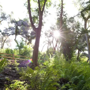 SBBG Spring 2012, Â©ZstheDayPhotography