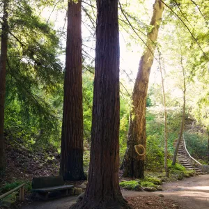 SBBG Spring 2012, Â©ZstheDayPhotography