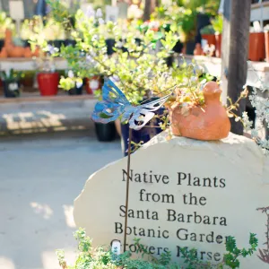 SBBG Spring 2012, Â©ZstheDayPhotography