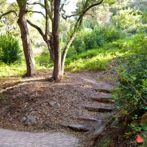 North terminus of the Woodland Trail