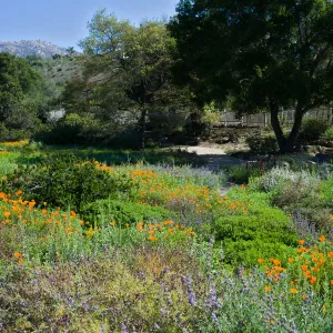 SBBG Spring 2012, Â©ZstheDayPhotography