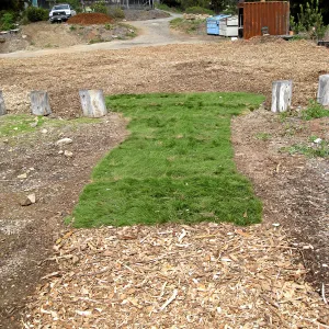 Native sod demonstration at Gane House site