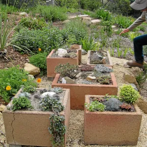 New trough gardens in the Meadow View