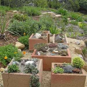 New trough gardens in the Meadow View