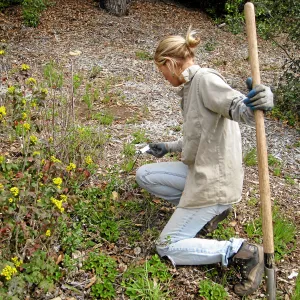 Leita Lord with Berberis in the Meadow View