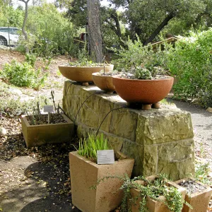 Pots at Conservation Garden