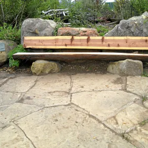 Temporary wood bench to replace burned Mr. and Mrs. William Stratton Porter Bench (bench #64)