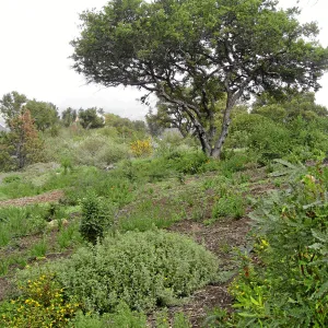 Porter Trail