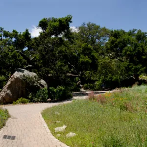 Blaksley Boulder and Meadow panorama