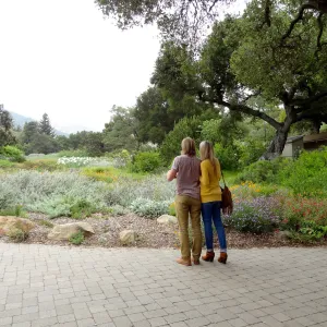 couple looking toward the Meadow, National Public Gardens Day 2012, SBBG