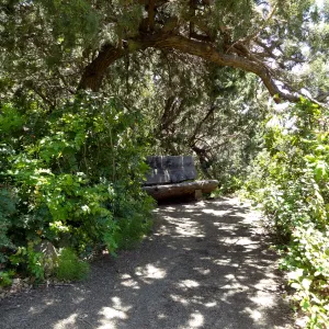 secluded wood bench in Meadow