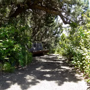 secluded wood bench in Meadow
