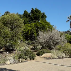 Entrance panorama, Garden Growers Lathe House to the Blaksley Boulder, Desert Section panorama