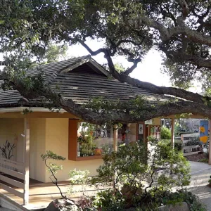 North wing, Garden Shop and Garden Entrance oak panorama