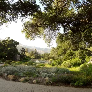 Garden view at sunset