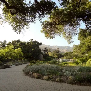 Garden view at sunset