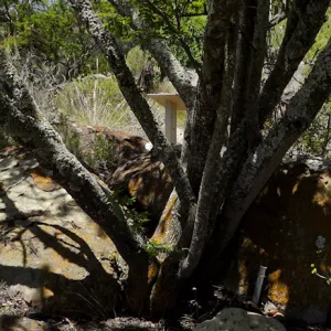 Desert Section panorama