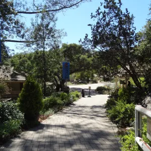 SBBG Entrance Kiosk and path