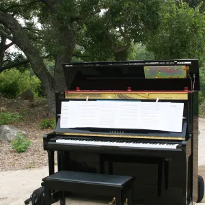 piano, Rose and Nightingale concert in the Garden event