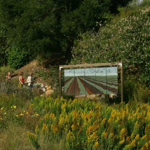 stained glass art exhibit, Rose and Nightingale concert in the Garden event