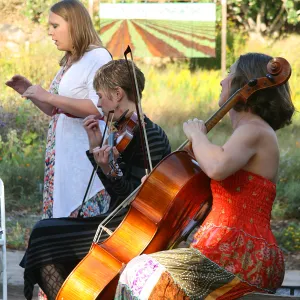 musicians, Rose and Nightingale concert in the Garden event