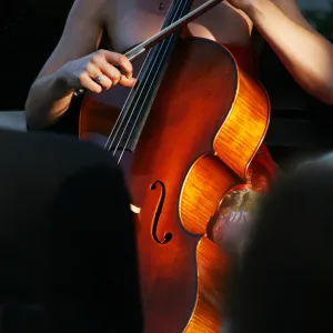 musicians, Rose and Nightingale concert in the Garden event