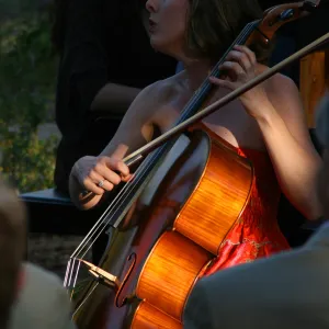 musicians, Rose and Nightingale concert in the Garden event