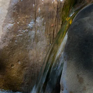 waterfall, Mission Creek, SBBG Photo Contest 2012