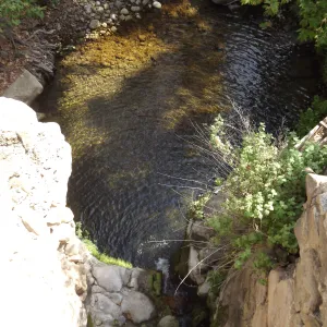 looking down to the pool beneath the Mission Dam, SBBG Photo Contest 2012