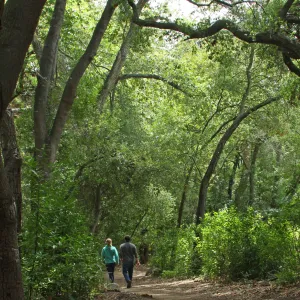 visitors walking on Canyon Trail, SBBG Photo Contest 2012