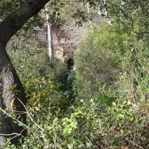 Mission Dam from Meadow Oaks