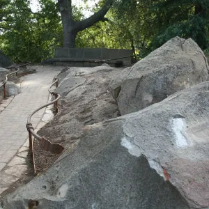 Construction of the Orchid Display