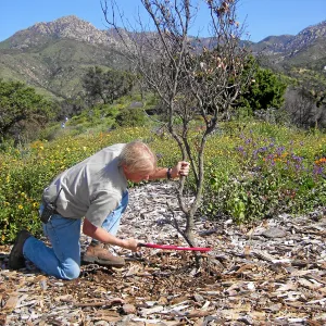 Porter Trail, Dave at work
