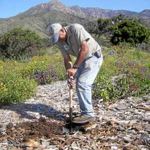 Porter Trail, Manuel at work