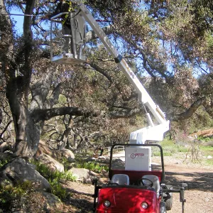 New cherry picker lift from 2009 Stanley Smith Grant