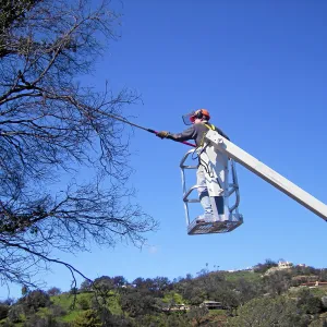 New cherry picker lift from 2009 Stanley Smith Grant